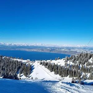 Typique De Montagne Appartement